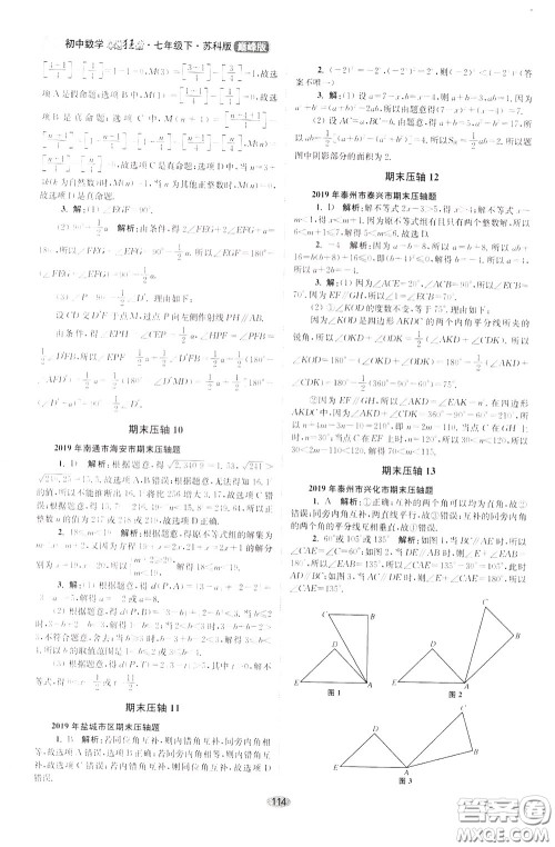2020年初中数学小题狂做巅峰版七年级下册苏科版参考答案 2020年初中数学小题狂做巅峰版七年级下册苏科版参考答案