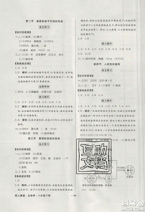 新世纪出版社2020同步导学与优化训练八年级生物学下册人教版答案
