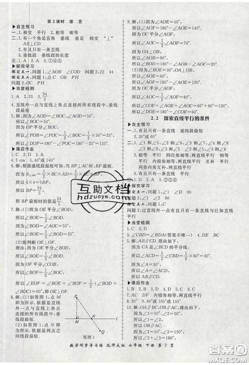 郑州大学出版社2020新学案同步导与练数学七年级下册北师大版答案