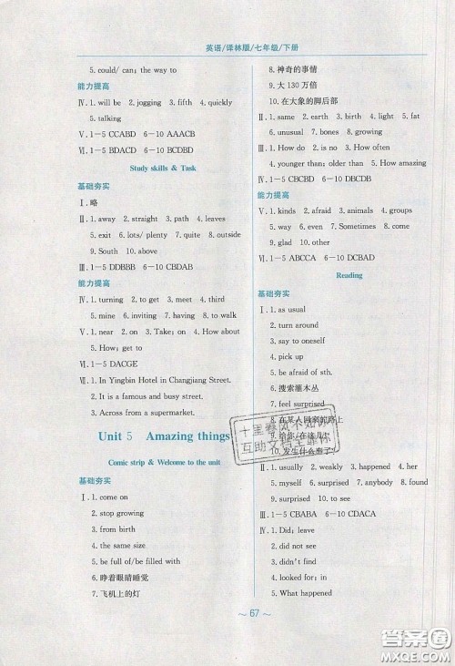 2020年新编基础训练七年级英语下册译林版答案 2020年新编基础训练七年级英语下册译林版答案