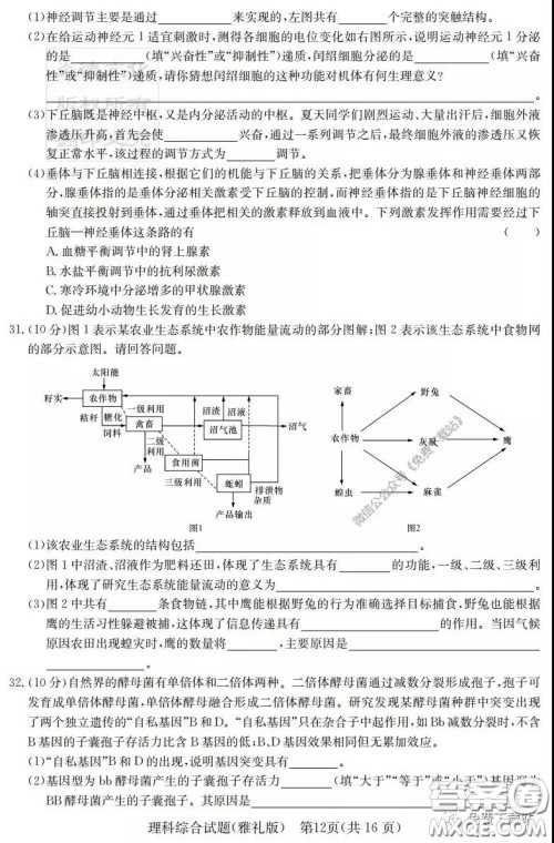 炎德英才大联考雅礼中学2020届高三月考试卷七理科综合试题及答案 炎德英才大联考雅礼中学2020届高三月考试卷七理科综合试题及答案