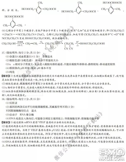 炎德英才大联考雅礼中学2020届高三月考试卷七理科综合试题及答案 炎德英才大联考雅礼中学2020届高三月考试卷七理科综合试题及答案