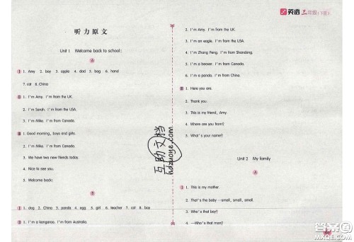 2020年新编基础训练三年级英语下册人教版答案