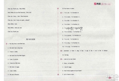 2020年新编基础训练三年级英语下册人教版答案