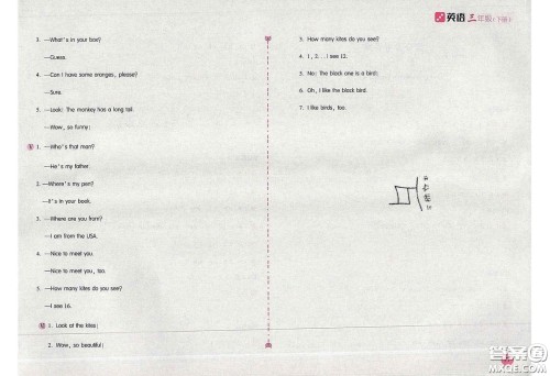 2020年新编基础训练三年级英语下册人教版答案