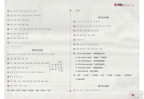 2020年新编基础训练三年级英语下册人教版答案