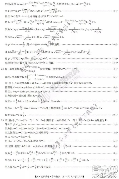 2020届河南金太阳高三3月联考文科数学试题及答案