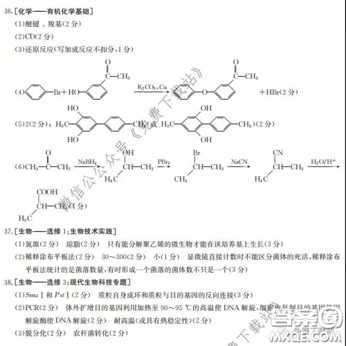 2020届陕西甘肃金太阳高三3月联考理科综合答案