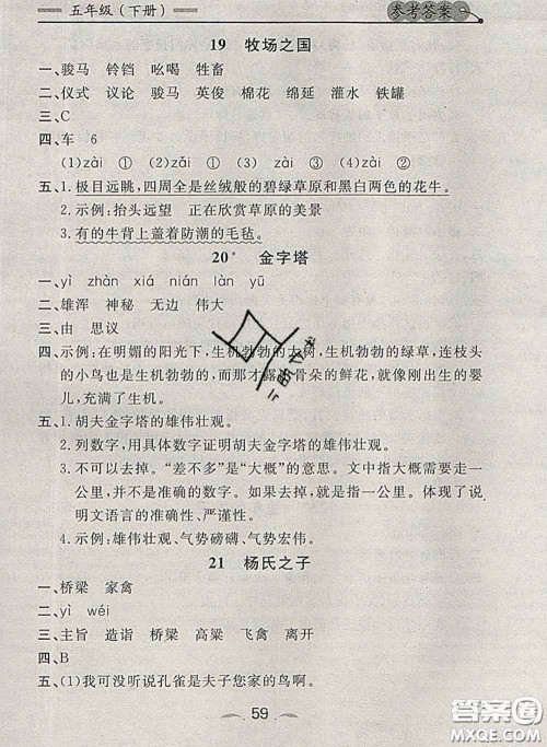 2020新版点石成金金牌每课通五年级语文下册人教版答案 2020新版点石成金金牌每课通五年级语文下册人教版答案