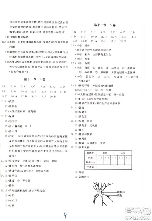 2020年新课堂AB卷单元测生物学七年级下册江苏版参考答案 2020年新课堂AB卷单元测生物学七年级下册江苏版参考答案
