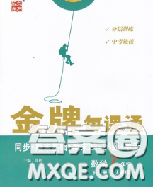 2020新版点石成金金牌每课通七年级数学下册人教版答案