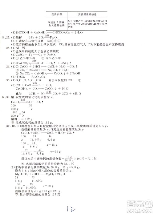 2020年新课堂AB卷单元测化学九年级下册人民教育版参考答案
