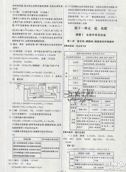 2020春能力培养与测试九年级化学下册人教版答案