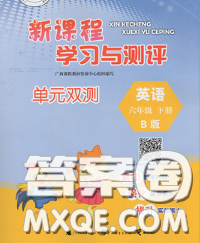 2020新版新课程学习与测评单元双测六年级英语下册B版答案 2020新版新课程学习与测评单元双测六年级英语下册B版答案