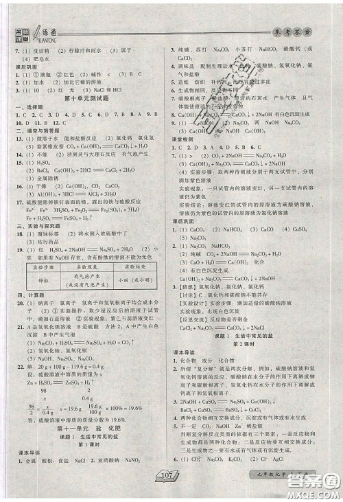 2020年名师课堂一练通九年级化学下册人教版答案