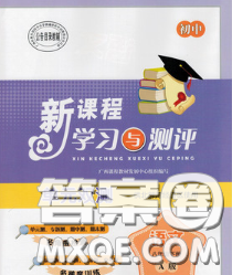 2020新版新课程学习与测评单元双测八年级语文下册A版答案 2020新版新课程学习与测评单元双测八年级语文下册A版答案