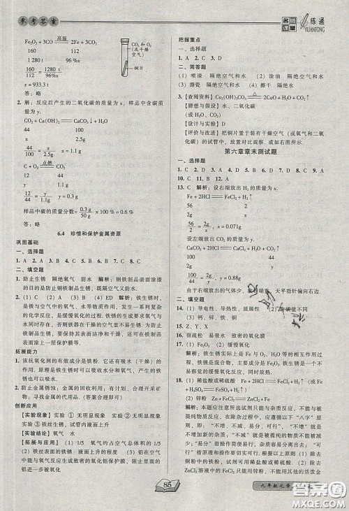 2020年名师课堂一练通九年级化学下册科学版答案