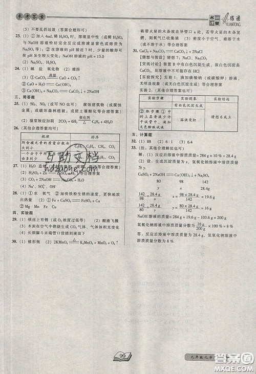 2020年名师课堂一练通九年级化学下册科学版答案