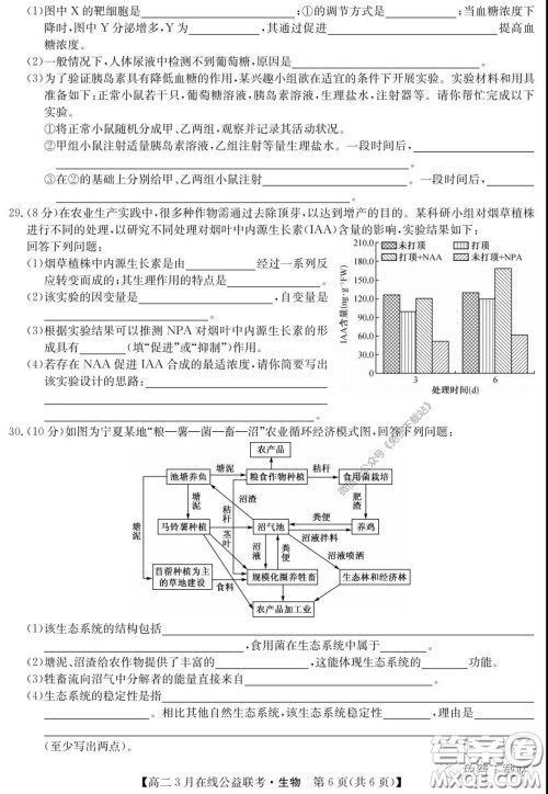 九师联盟3月高二在线公益联考生物试题及答案