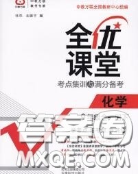 2020春全优课堂考点集训与满分备考九年级化学下册人教版答案