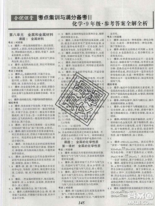 2020春全优课堂考点集训与满分备考九年级化学下册人教版答案