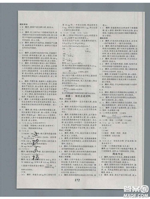 2020春全优课堂考点集训与满分备考九年级化学下册人教版答案