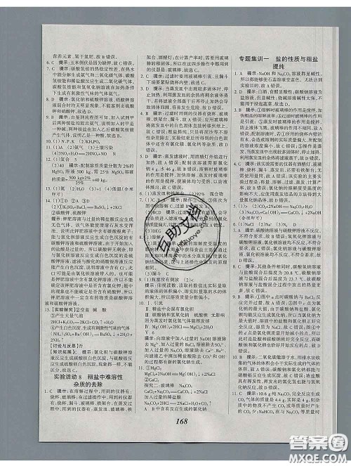 2020春全优课堂考点集训与满分备考九年级化学下册人教版答案