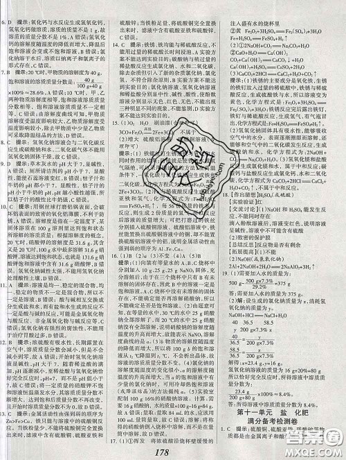 2020春全优课堂考点集训与满分备考九年级化学下册人教版答案