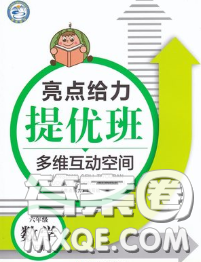 2020春亮点给力提优班多维互动空间六年级数学下册答案