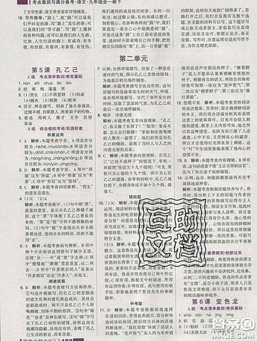 2020新版考点集训与满分备考九年级语文下册人教版答案 2020新版考点集训与满分备考九年级语文下册人教版答案