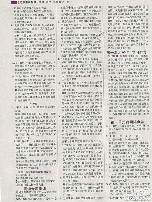 2020新版考点集训与满分备考九年级语文下册人教版答案 2020新版考点集训与满分备考九年级语文下册人教版答案