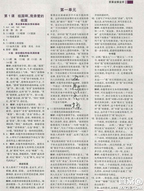 2020新版考点集训与满分备考九年级语文下册人教版答案 2020新版考点集训与满分备考九年级语文下册人教版答案