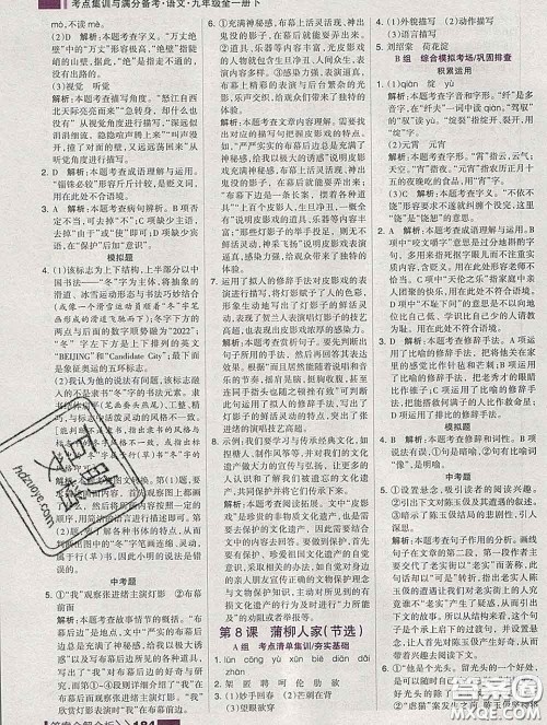 2020新版考点集训与满分备考九年级语文下册人教版答案 2020新版考点集训与满分备考九年级语文下册人教版答案