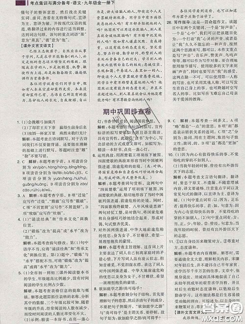 2020新版考点集训与满分备考九年级语文下册人教版答案 2020新版考点集训与满分备考九年级语文下册人教版答案