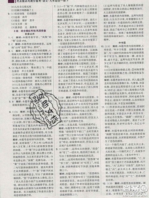 2020新版考点集训与满分备考九年级语文下册人教版答案 2020新版考点集训与满分备考九年级语文下册人教版答案
