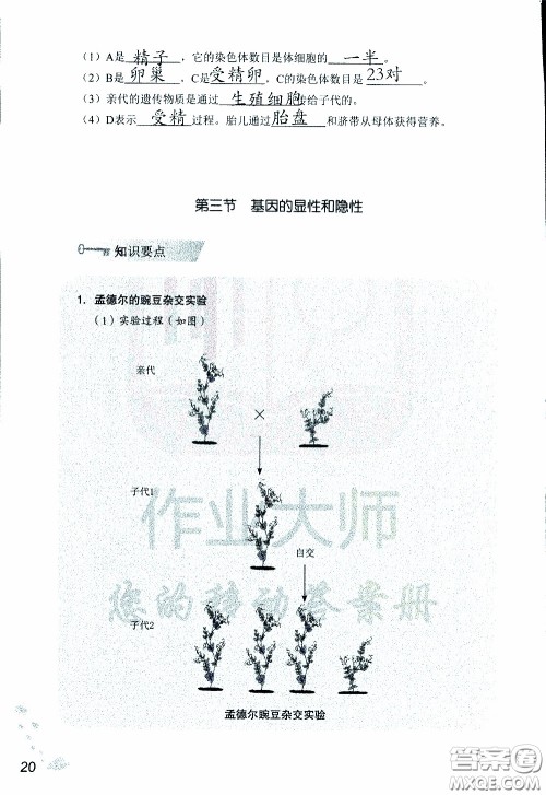 2020年知识与能力训练八年级下册生物学人教版参考答案