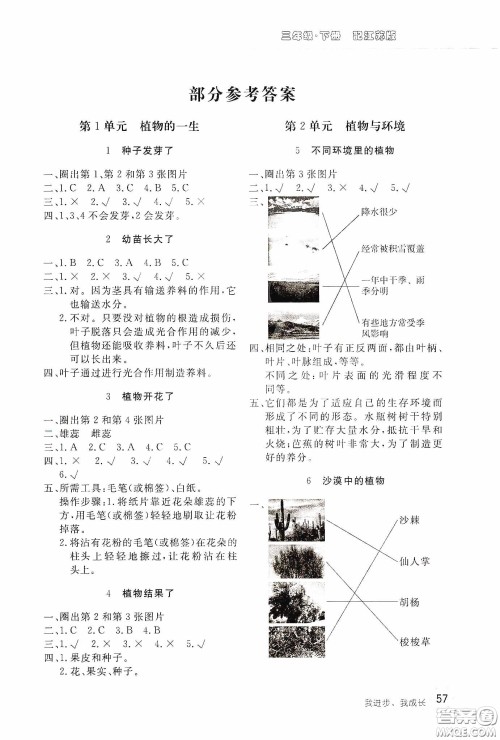 北京教育出版社2020新课堂同步训练三年级科学下册江苏版答案