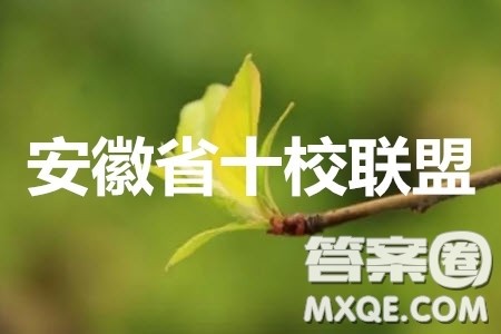 安徽省十校联盟2020届高三线上自主联合检测文科数学答案