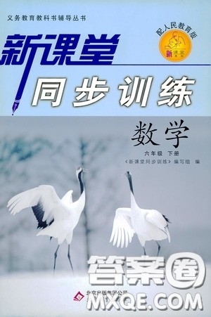 北京教育出版社2020新课堂同步训练六年级数学下册人民教育版答案 北京教育出版社2020新课堂同步训练六年级数学下册人民教育版答案