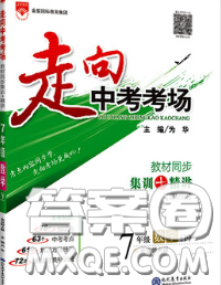 现代教育出版社2020新版走向中考考场七年级数学下册北师版答案