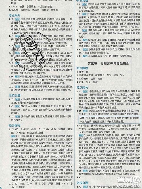 现代教育出版社2020新版走向中考考场七年级生物下册人教版答案 现代教育出版社2020新版走向中考考场七年级生物下册人教版答案