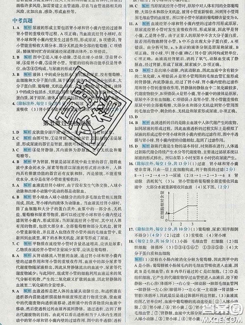 现代教育出版社2020新版走向中考考场七年级生物下册人教版答案