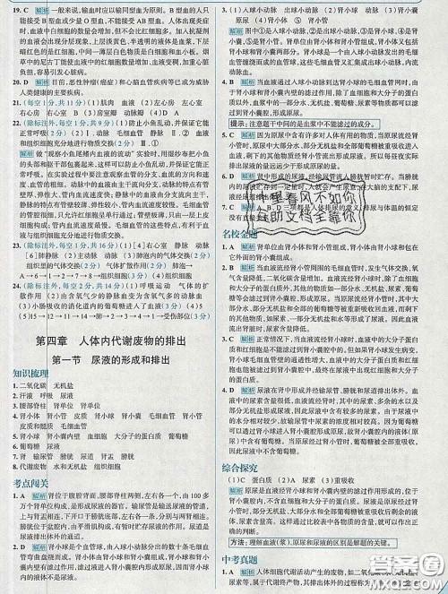 现代教育出版社2020新版走向中考考场七年级生物下册济南版答案