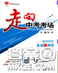 现代教育出版社2020新版走向中考考场九年级数学下册华师版答案