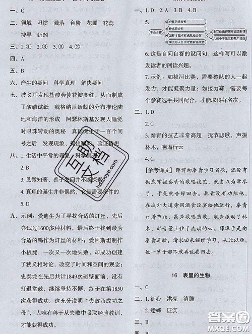 2020新版木头马分层课课练小学语文六年级下册人教版答案