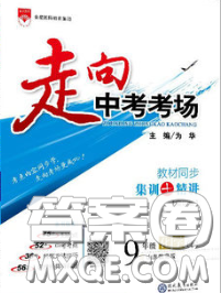 现代教育出版社2020新版走向中考考场九年级化学下册鲁教版答案