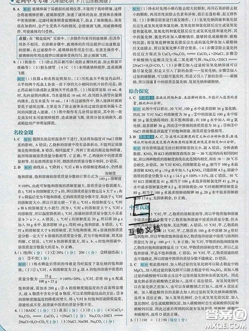 现代教育出版社2020新版走向中考考场九年级化学下册鲁教版答案