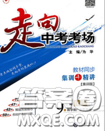 现代教育出版社2020新版走向中考考场九年级化学下册科粤版答案