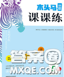 2020新版木头马分层课课练小学数学五年级下册北师版答案