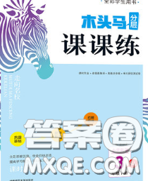 2020新版木头马分层课课练小学数学三年级下册人教版答案